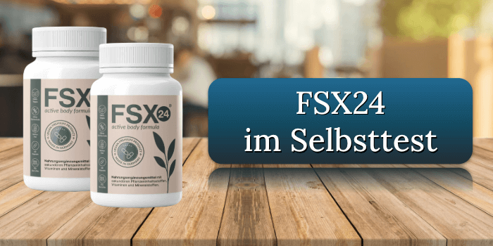 FSX24 Titelbild