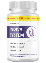 InDiva System Abbild