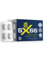 SX66 Image