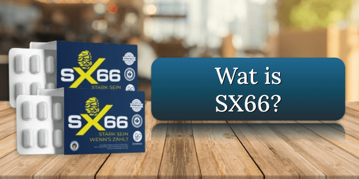 Wat is SX66
