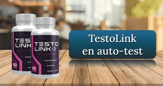 TestoLink Image de couverture