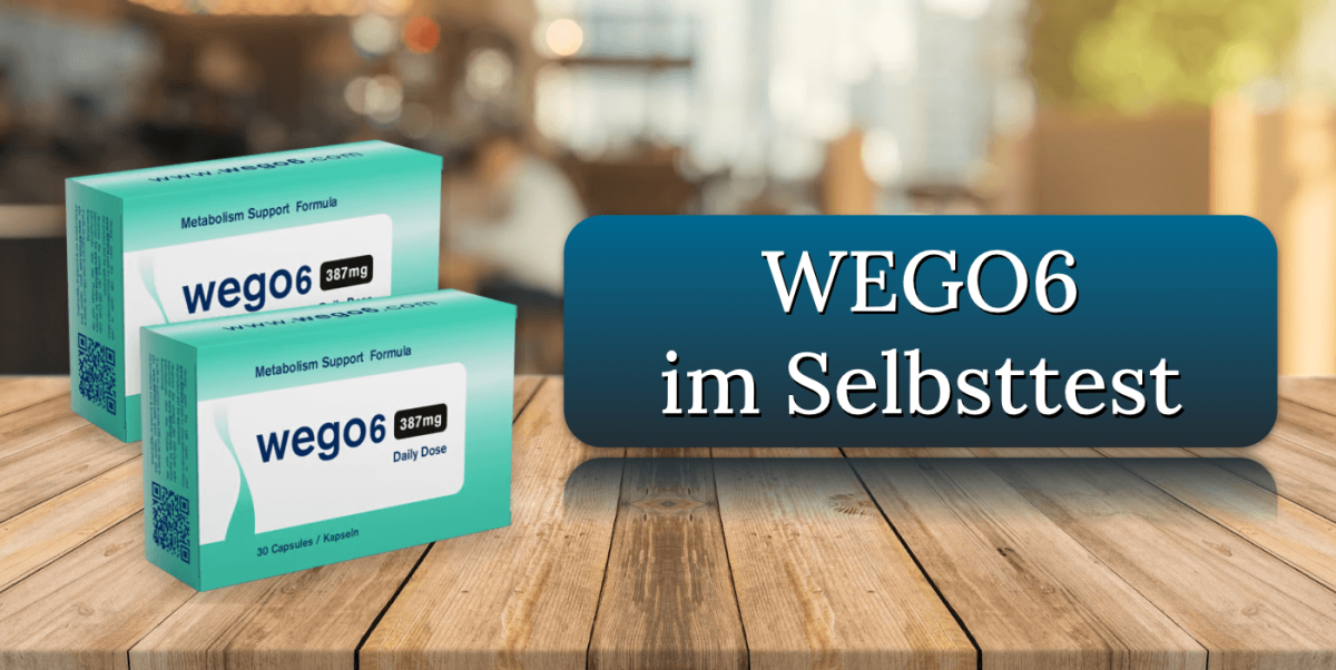 WEGO6 Titelbild