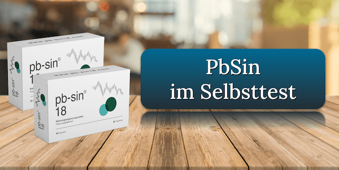 PbSin Titelbild